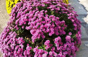 Meteora countryside villa - Foto 66