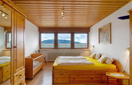 Ferienwohnung Bodenseeblick - Foto 12