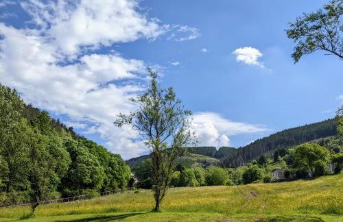 Cape Cottage - Photo 19