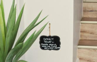 2 spaces More Space with 2 units at same location PNW Retreat - Foto 45