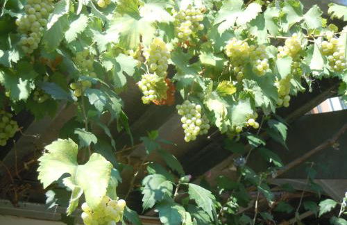 Ferienhaus Teubner - Foto 34