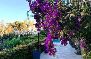 Prestigious villa in Cannes with stunning sea views - Photo 48