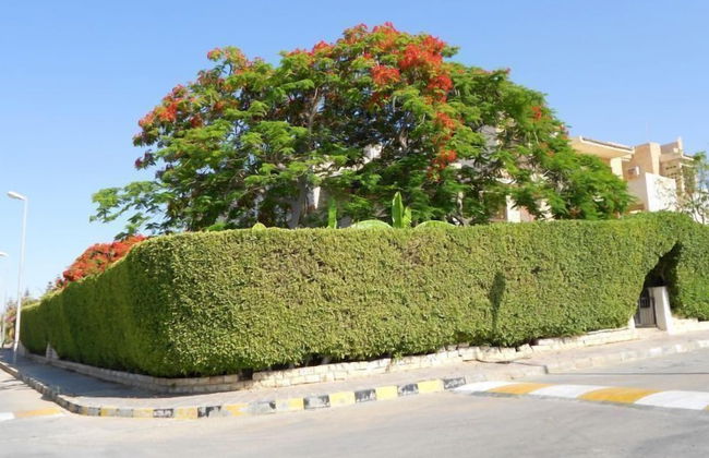 Marina Villa North Coast Egypt - Photo 32