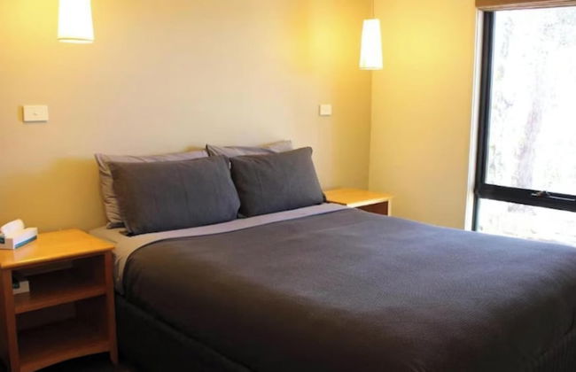 Discovery Parks - Cradle Mountain - Foto 27