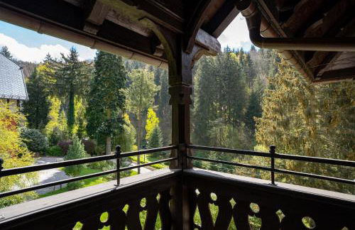 Villa Klara - Apartamenty Wakacyjne - Foto 33