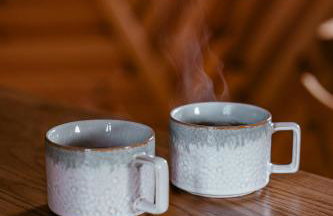 4 Żywioły całoroczne domki w górach - dostęp do sauny - Foto 27