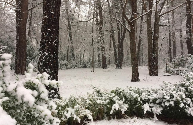 Gierle Garden Bungalow Escape - Foto 23