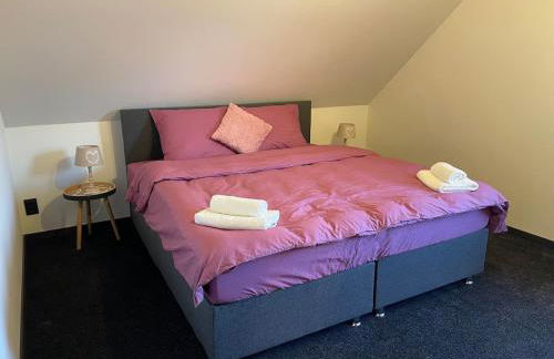 Dhünn lake holiday house - Foto 17