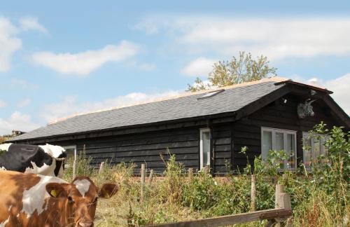 Bull Farm Studios - Foto 23