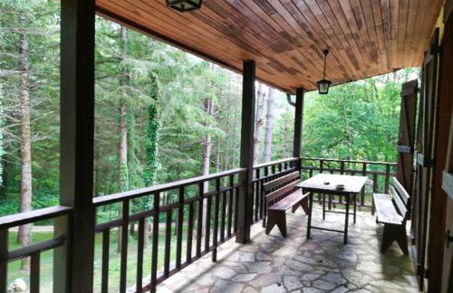 Domaine de Grézelou - Foto 52