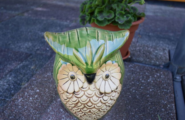 Log Cabin Near Baltic Sea Lighthouse - Foto 17