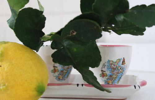 MAREMEU TROPEA - Foto 25