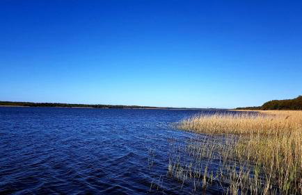 Domek Łeba Nowęcin - Foto 23