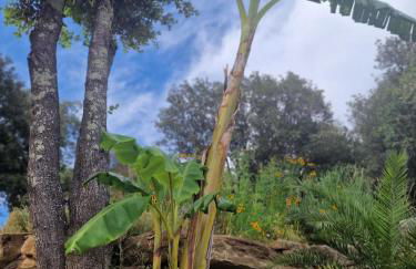 El Racó dels Mussols 2 - Foto 25