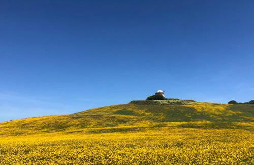 Casa Pátio country house - Foto 38