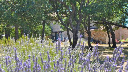 Les Gîtes De La Chérine - Foto 4, Garden view
