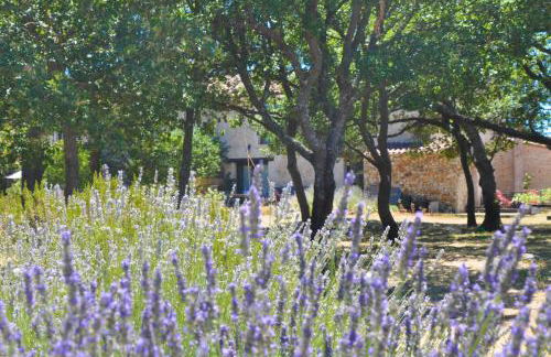 Les Gîtes De La Chérine - Foto 4