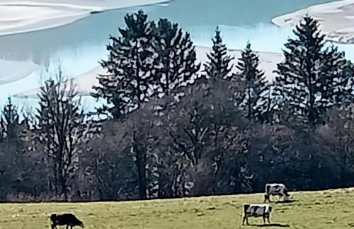 Gite les carriaux - Foto 31