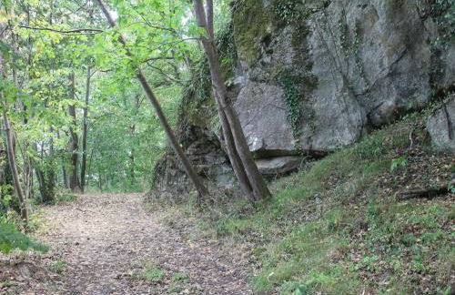 Gîte cosy pour 2 avec jardin et cheminée à Montbrison - FR-1-496-158 - Foto 21