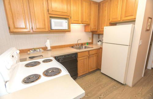 The Grey Gull - Foto 154