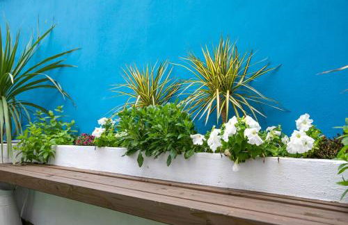 El Merendero - Photo 12