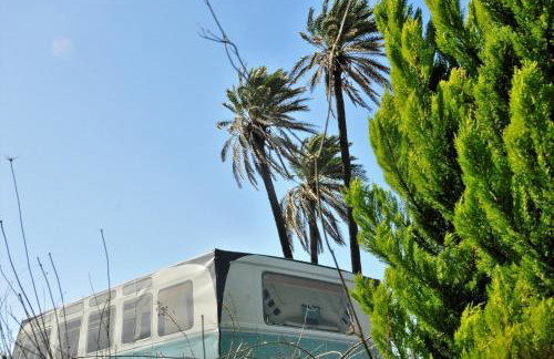 Cornelia Hippie Magic Bus - Foto 46