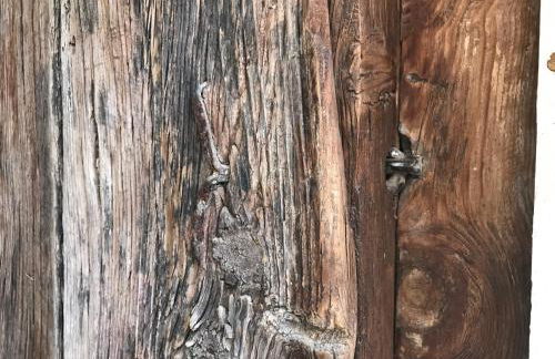 El Portal de Moratalla - Foto 57