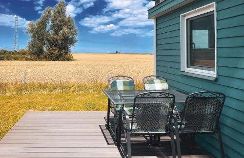 Prima Camping Resort Boddenblick -Ostsee - Foto 18