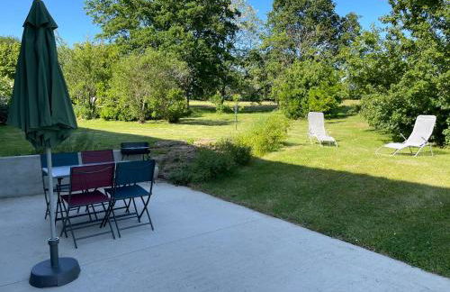 Les mimosas - Foto 3