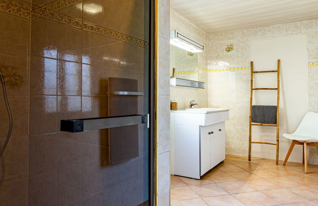 La salicorne - Foto 11