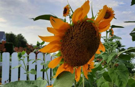 Bayview #1 - Foto 31