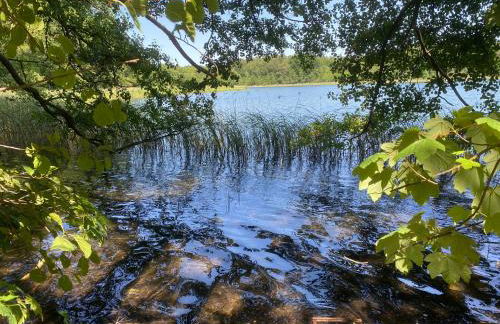 Haus am Lübbesee - Photo 16
