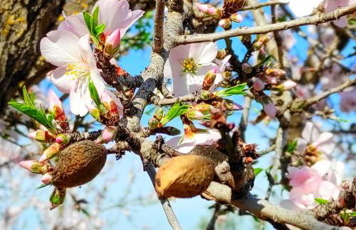 Apartamento Menorca - Foto 41