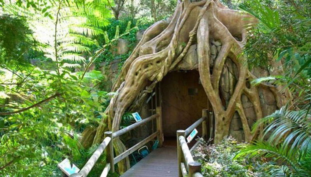 A entrada da Glow Worm Caves