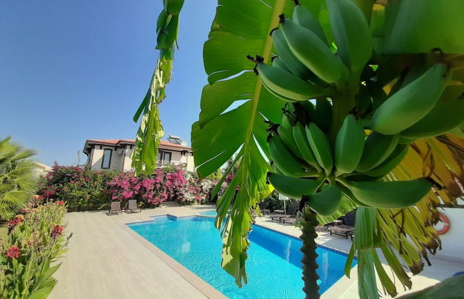 Beautiful 4-bed Villa Private Pools - Photo 30