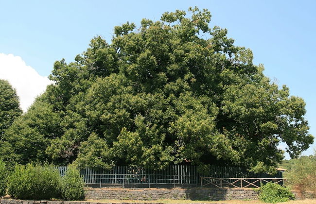 Lg Giarre Apartment in Italy - Foto 18