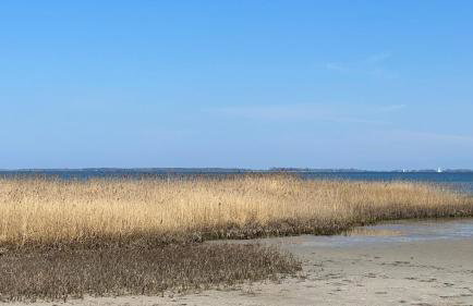 Ferienhaus Boddenblick Klausdorf Am Nationalpark - Foto 23