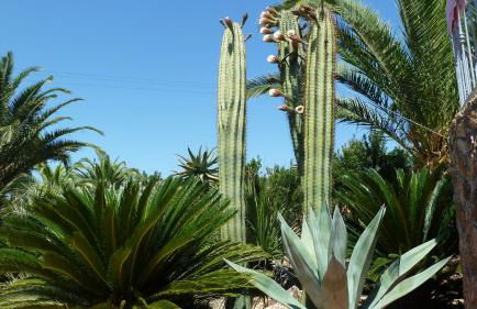 Residence Cala dei Peducelli - Foto 11