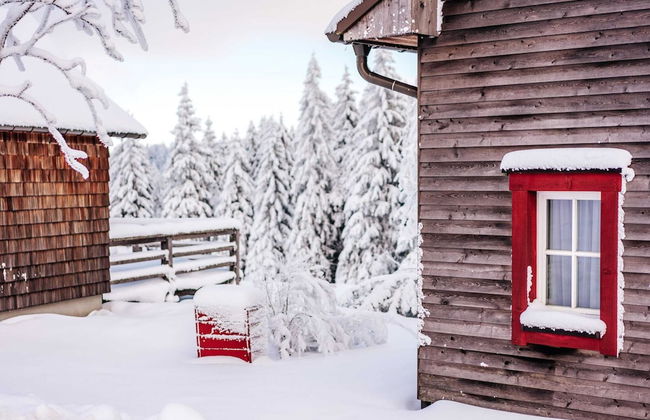 Chalet in Harz With Sauna & Brocken Views - Photo 25