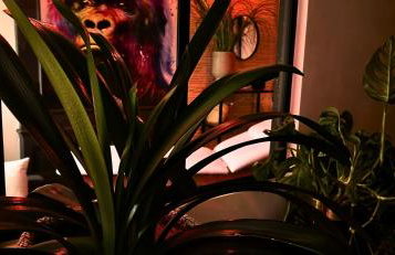 AKA LOVE ROOM - Foto 7