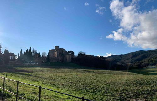 Le Cabanon de Livia avec piscine privée - Foto 47
