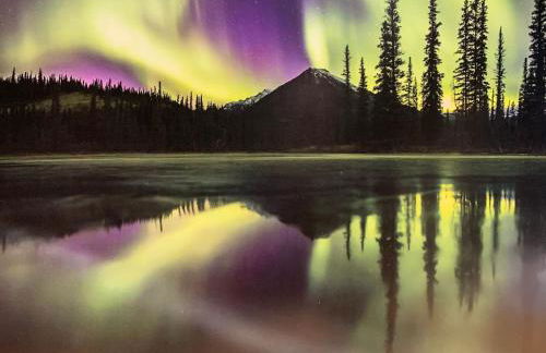 Alaskan Bohemian - Photo 14