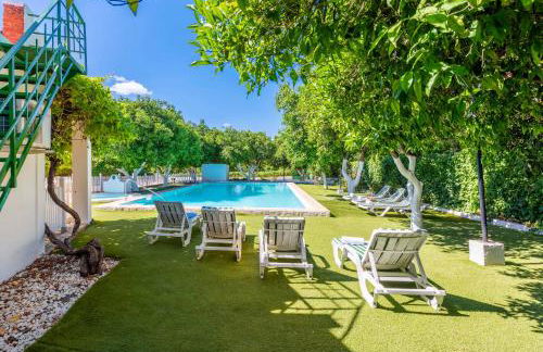 Huerta la Pimentada - Foto 62