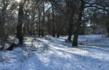 Ceol Na Mara Cottage by the sea - Foto 34