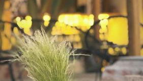 LA Casa Di Lusso Grande Casa -Adults Only - Foto 3