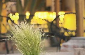 LA Casa Di Lusso N5 - Adults Only - Foto 16