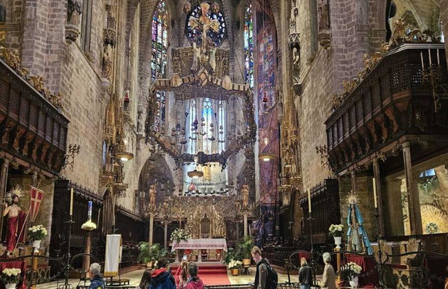 Ultimate Palma Tour: Historic Highlights Palaces, Gardens & Cathedral Tour - Foto 21