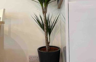 Stepping Stones Cottage - Lelant, Nr St Ives - Foto 14