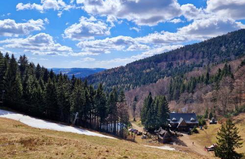 Apartament Mountains Góry Sowie - Foto 42