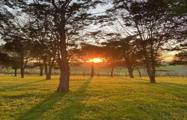 Apartment Amidst Vineyards & Blue Skies - Foto 34